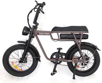 EB2 Fatbike - 20 inch - 250W motor - 80 km actieradius - coffee brown