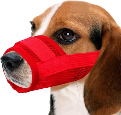 Ademend Nylon Hondenmuilkorf met Verstelbare Bandjes, Voorkom Bijten en Grommen, Ideaal voor Training en Wandelen (M, Rood)