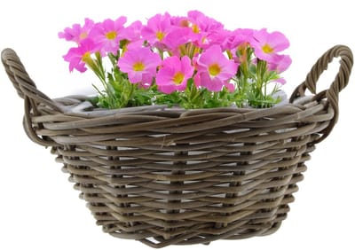 Van der Leeden Planten/bloemen mand met hengsels - rond - bruin - D43 x H18 cm - rotan gevlochten - bloemenmand - plantenmand - plantenpot
