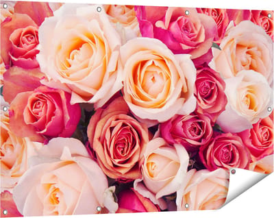 Gards Tuinposter Roze Rozen Achtergrond - Bloemen - 120x80 cm - Tuindoek - Tuindecoratie - Wanddecoratie buiten - Tuinschilderij