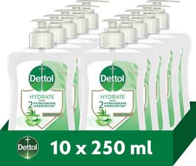 Dettol Hydrating Aloe Vera 250ML - 10 Stuks - Voordeelverpakking