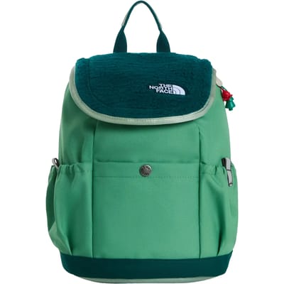Kinderrugzak The North Face Mini Explorer