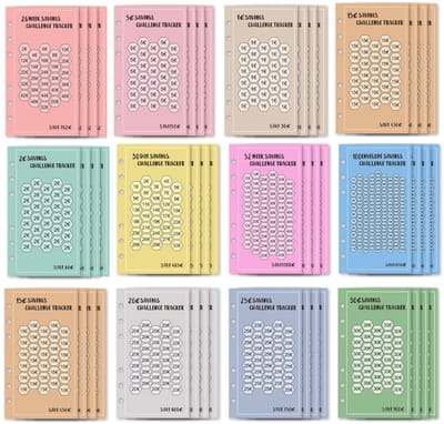 Dailygoods- Huishoudplanner A6 - Budget Planner met 48 Vellen - Geldbesparingsuitdagingen - Spaarplanner - Budgetplanningsaccessoires - Financieel Beheer - Budgetplanner