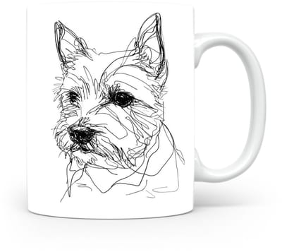 Beker Norwich Terrier