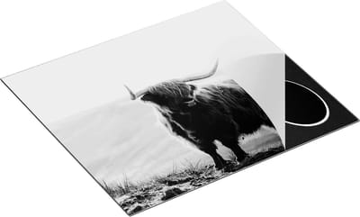 Chefcare Inductie Beschermer Schotse Hooglander Koe in het Heuvel Landschap - Zwart Wit - 60x50 cm - Afdekplaat Inductie - Kookplaat Beschermer - Inductie Mat