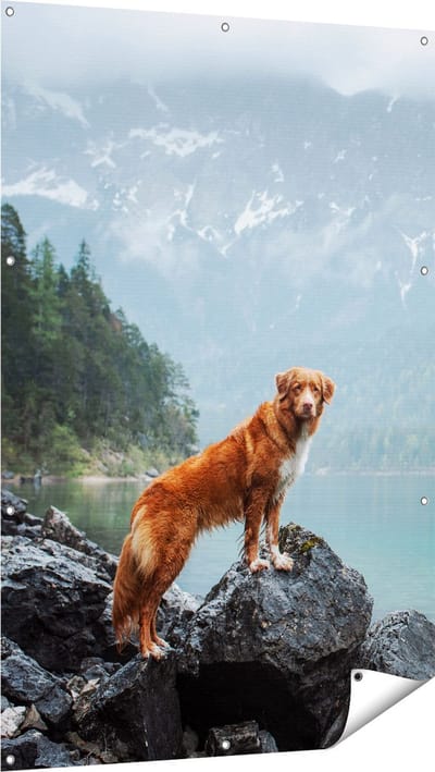 Gards Tuinposter Retriever Hond bij het Water in de Bergen - 100x150 cm - Tuindoek - Tuindecoratie - Wanddecoratie buiten - Tuinschilderij