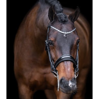 Hoofdstellen Imperial Riding Olympia