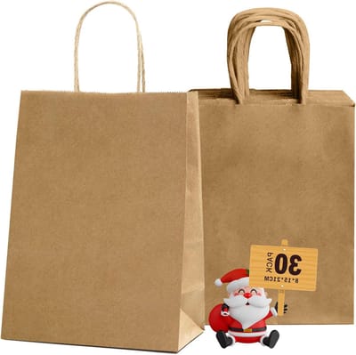 Papieren zakken met handvat - cadeauzakjes - 30 stuks - bruin - 15 x 8 x 21 cm