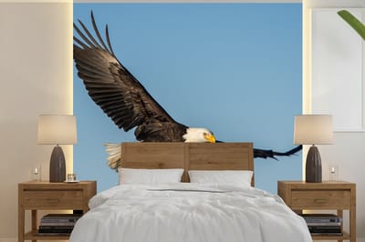 Behang - Fotobehang Vogel - Arend - Roofvogels - Breedte 220 cm x hoogte 220 cm