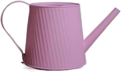 Metalen Gieter - Waterkan Tuingieter - Planten Water Geven - Lange Nauwkeurige Tuit - 1400 ml - Metaal