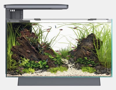 SuperFish Aquarium - Quadro 40 pro - Verlichting - Filter - Zwart - 28L
