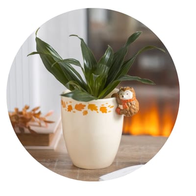 Autumn Plant Pot with Hedgehog
