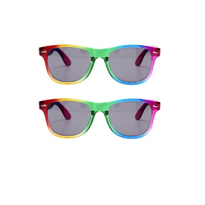 2x Regenboog zonnebrillen retro voor volwassenen - Regenboog zonnebrillen dames/heren