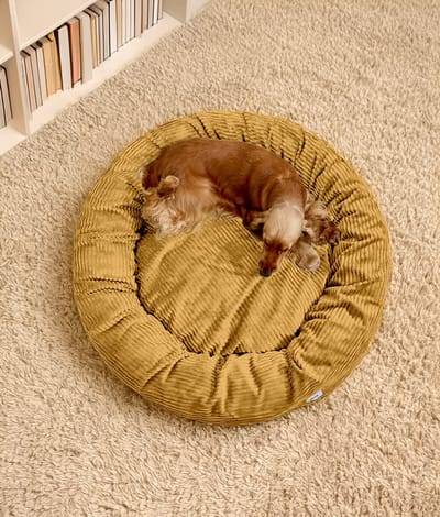 Comfortabel donutvormig hondenbed van ribfluweel – Mosterdkleur – Zacht, wasbaar & antislip – Nuba