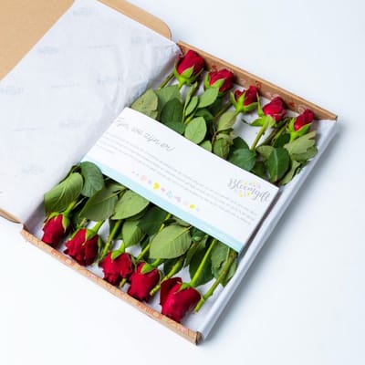 BloomKado | Brievenbus bloemen | Rode rozen | 10 stelen | Vers van de Kweker | Liefde cadeau