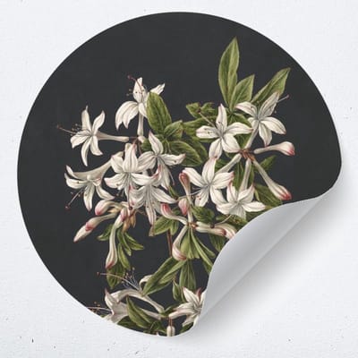 Muurcirkel "Tak van een bloeiende Azalea" | Zelfklevende behangcirkel | woonkamer muur decoratie accessoires | rond kunstwerk