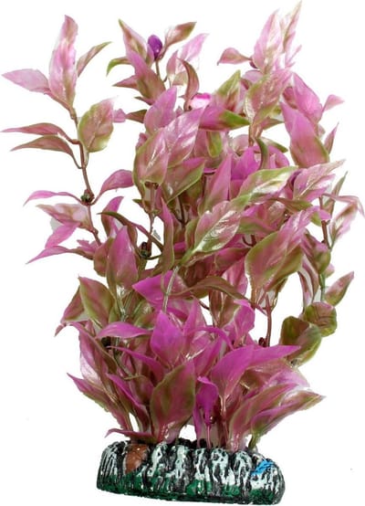Flamingo - Aquariumdecoratie plant plastic Cuba - Assorti - M - 9 x 6 x 20 cm