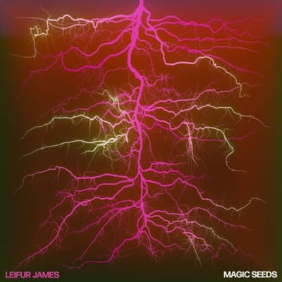 Magic Seeds - Leifur James