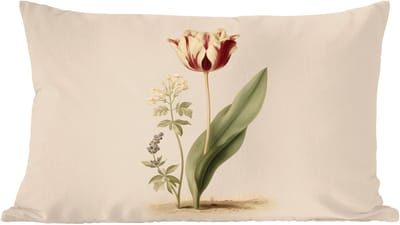 Sierkussens - Kussentjes Woonkamer - 60x40 cm - Tulp - Minimalistisch - Beige