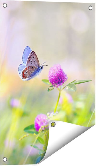 Gards Tuinposter Blauwe Vlinder bij een Paarse Bloem - 40x60 cm - Tuindoek - Tuindecoratie - Wanddecoratie buiten - Tuinschilderij