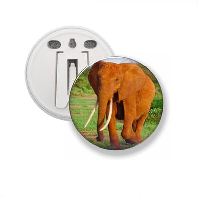 Button Met Clip - Olifant
