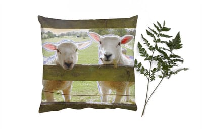 Sierkussens - Kussentjes Woonkamer - 40x40 cm - Schapen - Dieren - Boerderij