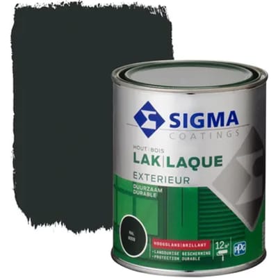 Sigma Exterieur Lak Ral6009 Hoogglans 750ml