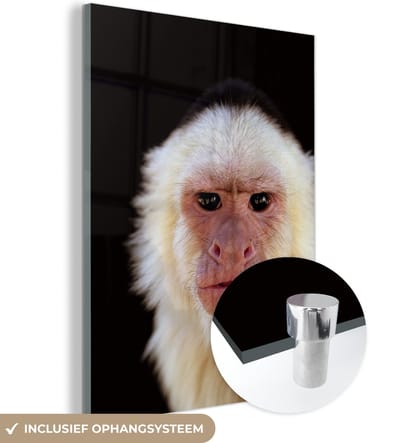 MuchoWow® Glasschilderij 120x160 cm - Schilderij acrylglas - Aap - Vacht - Zwart - Foto op glas - Schilderijen