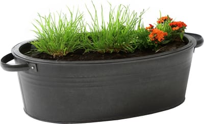 Mega Collections Teil/plantenpot/bloempot Farmer - ovaal - zink - zwart - L29 x D21 X H12.5 cm