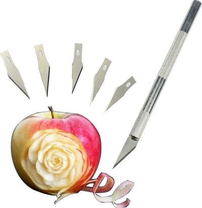 Winkrs - Precisie Hobby Penmes met 5 extra Mesjes - Scalpel Mes voor houtsnijwerk, fruit decoratie, leerbewerking etc.