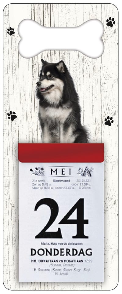 Scheurkalender 2027 Hond: Finse Lappenhond