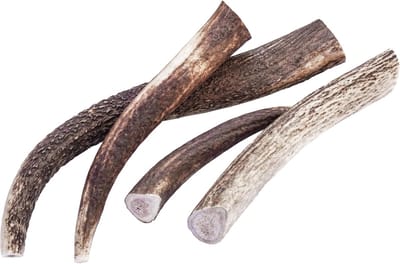 Hondensnack Gewei - Kauwspeelgoed Natuurlijk - Tandverzorging Hond - 100% Herten Gewei - Maat L - Bruin