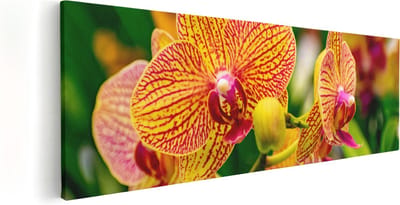 Artaza Canvas Schilderij Bloemen - 60x20 cm - Muurdecoratie Orchidee - Wanddecoratie Bloem - Kamer Accessoires