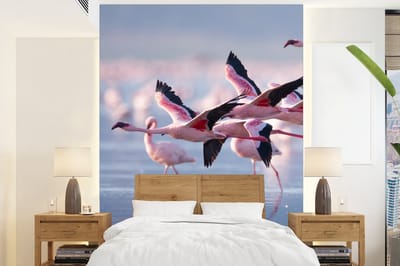 Behang - Fotobehang Flamingo - Vogel - Water - Roze - Breedte 165 cm x hoogte 220 cm