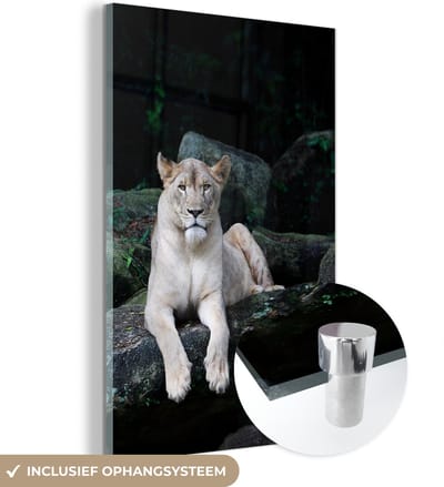 MuchoWow® Glasschilderij 40x60 cm - Schilderij acrylglas - Leeuw - Wilde dieren - Portret - Foto op glas - Schilderijen