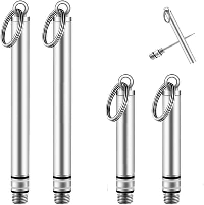 Herbruikbare tandenstokers - Metalen reinigers - Mondhygiëne thuis - Milieuvriendelijk materiaal - 4 stuks houder - Zilver