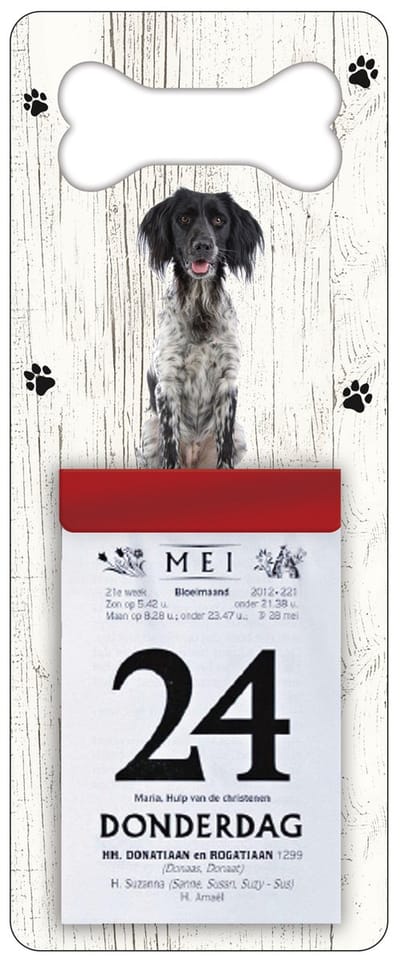 Scheurkalender 2027 Hond: Grote Münsterlander