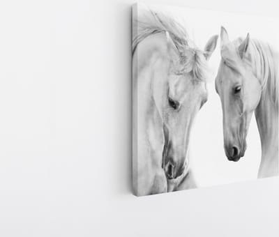 Saammp Canvas Schilderij - 2 Paarden - Liefdevol - Natuur - Dieren - 20x20 - Foto op canvas - Wanddecoratie - Muurdecoratie Woonkamer - Slaapkamer decoratie - Canvas Print