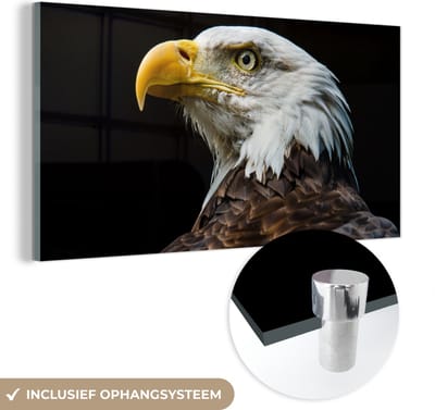MuchoWow® Glasschilderij 40x20 cm - Schilderij acrylglas - Adelaar - Vogel - Ogen - Snavel - Foto op glas - Schilderijen