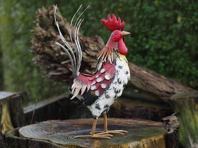 Tuinbeeld - Haan - 52 cm hoog