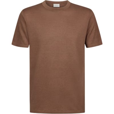 Profuomo T-shirt Crew Neck Ss T-shirts Bruin Ppxt10006