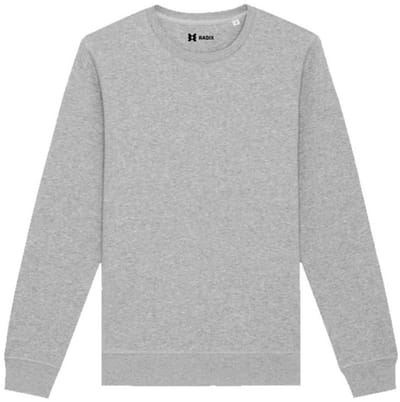 Radix - Trui - Heren - Kleur Grijs - Maat S