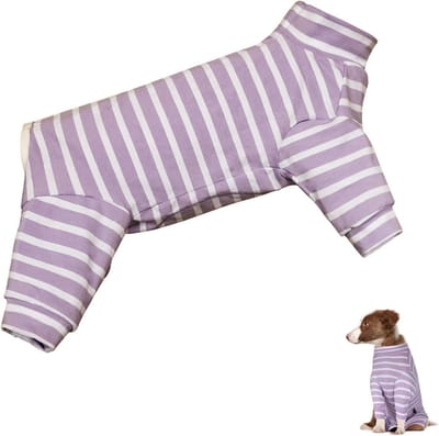 Honden Bodysuit voor Herstel na Chirurgie, Ademend Wondbescherming, Anti-Lik, Zacht One Piece met Rits voor Kleine en Middelgrote Honden (Paars, M)