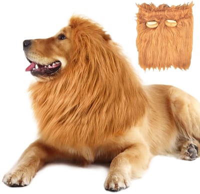 Dailygoods- Hondenkostuum Leeuwenmanen - Verstelbaar - Realistische Oren - Halloweenkostuum - Pruik - Hoogwaardig Imitatiewol - Huisdierkostuum