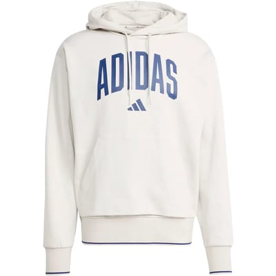 Adidas Sportswear Collegiate Hoodie - Heren - Beige