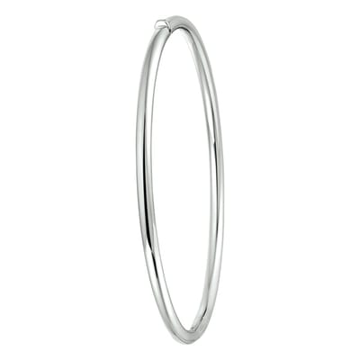 Bangle Scharnier Ronde Buis 3 X 60 Mm
