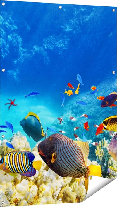 Gards Tuinposter Vissen in de Oceaan met Koralen - 80x120 cm - Tuindoek - Tuindecoratie - Wanddecoratie buiten - Tuinschilderij