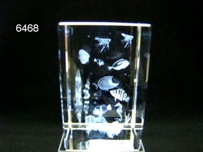 3D Glasgravure Tropische Vissen – 8 x 5 x 5 cm – Inclusief Cadeauverpakking