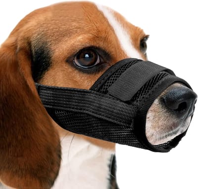 1 stuk - Hondenmuilkorf - Anti-bijten, Anti-blaffen, Anti-eten - Drinkbaar - Huisdierbenodigdheden, Hondenmuilkorf tegen blaffen - (Zwart S) - (12-15 cm)