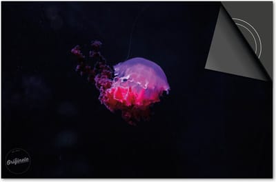 Inductie beschermer 60x60 - afdekplaat inductie mat - Dietrix Kookplaat beschermer - Exclusief - Under the Sea - Kwal Roze Rood